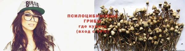 трава Медногорск
