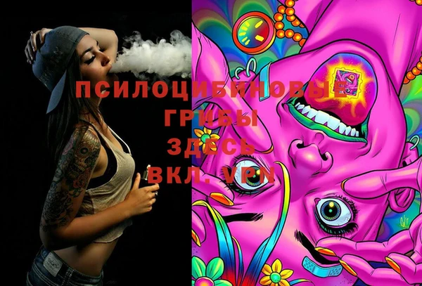 дурь Мегион