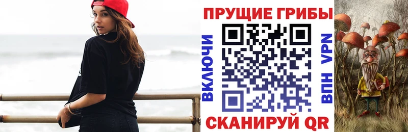 Псилоцибиновые грибы Cubensis Майкоп