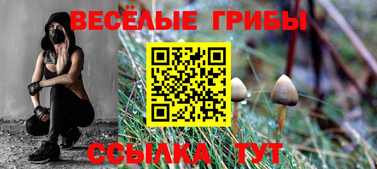 Галлюциногенные грибы MAGIC MUSHROOMS  Вход с VPN  купить наркотик  Псилоцибиновые грибы Psilocybine cubensis  Майкоп 