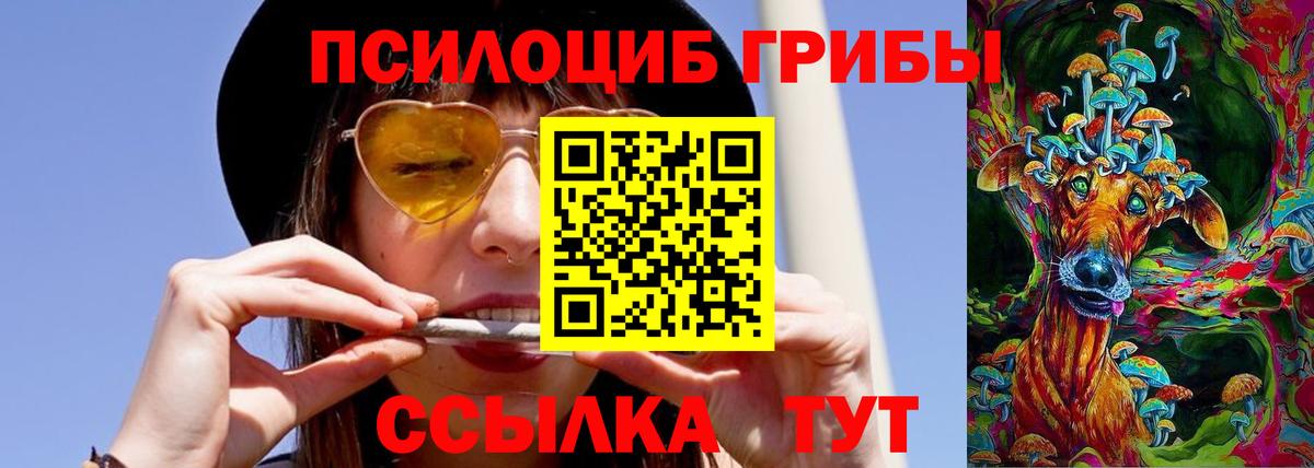 Галлюциногенные грибы MAGIC MUSHROOMS Майкоп