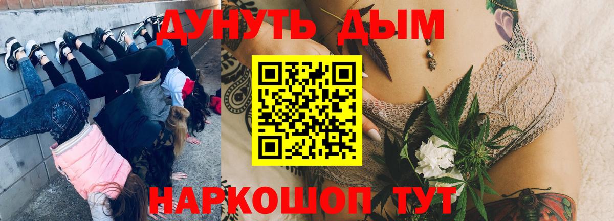 Канабис сатива Майкоп